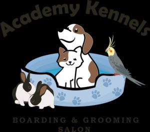 Academy Kennels (Pet Boarding and Grooming), serving Albuquerque, New Mexico