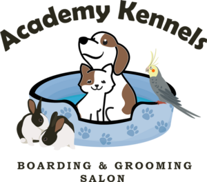 Why you should choose Academy Kennels in Albuquerque, NM